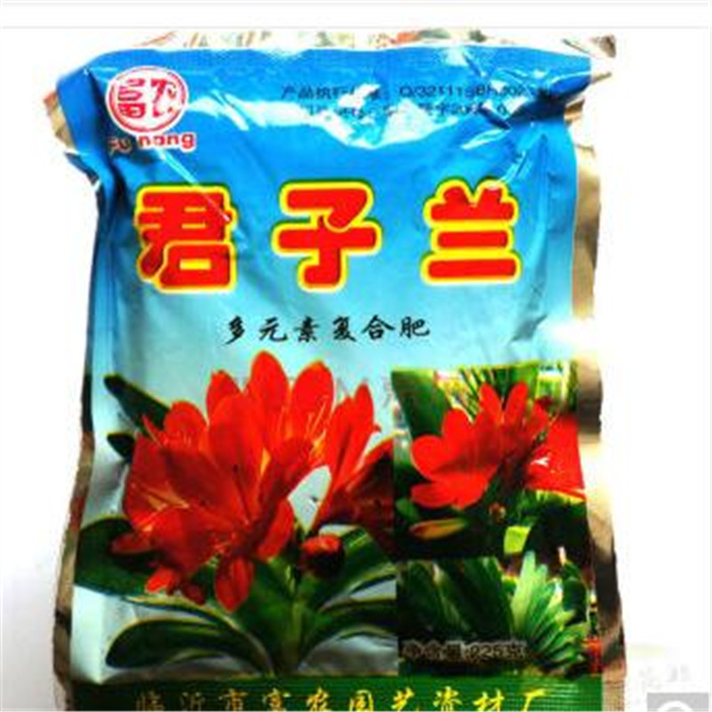 名贵花卉 盆景精品绿植园艺庭院阳台绿化圆头和尚彩兰 君子兰肥料2包