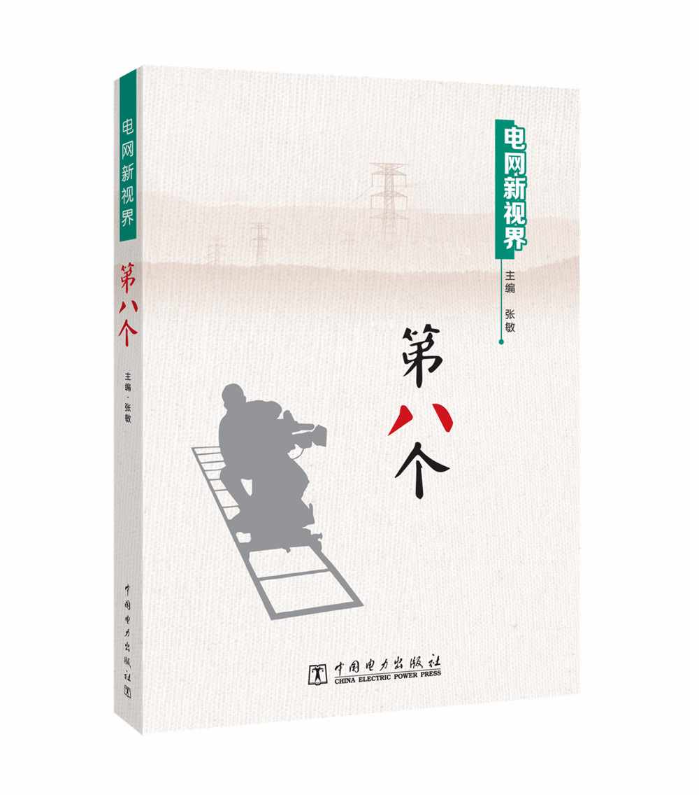 电网新视界 第八个
