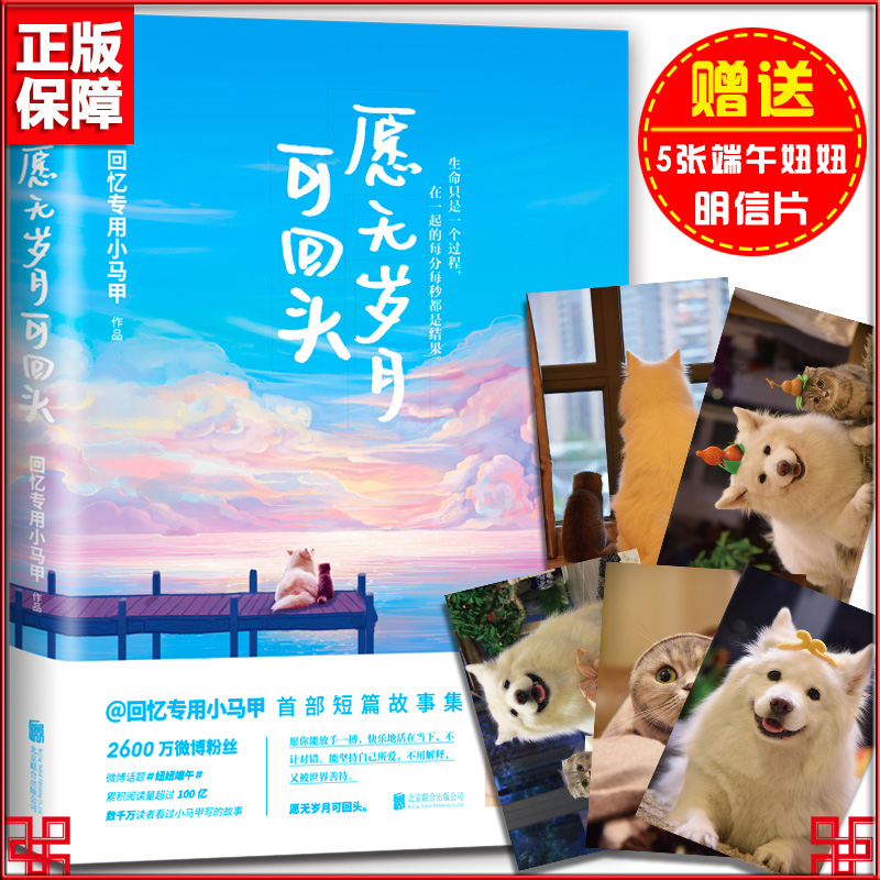 愿无岁月可回头 回忆专用小马甲著 马建国