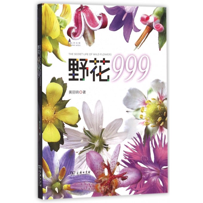 野花999/自然观察