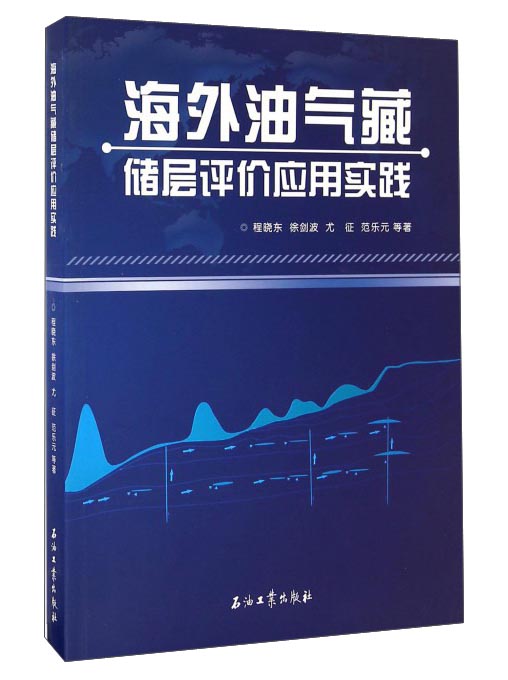 海外油气藏储层评价应用实践