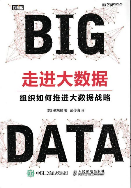 走进大数据 组织如何推进大数据战略(图灵出品)详情图