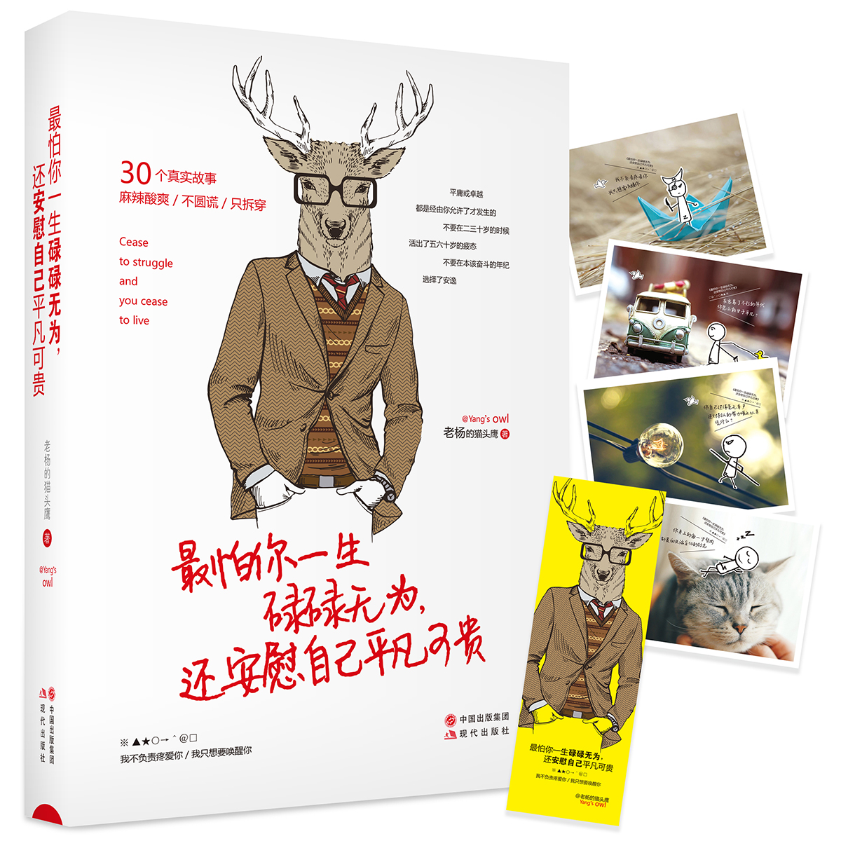 生碌碌无为，还安慰自己平凡可贵 励志与成功 老杨的猫头鹰著 现代出版社 9787514352399