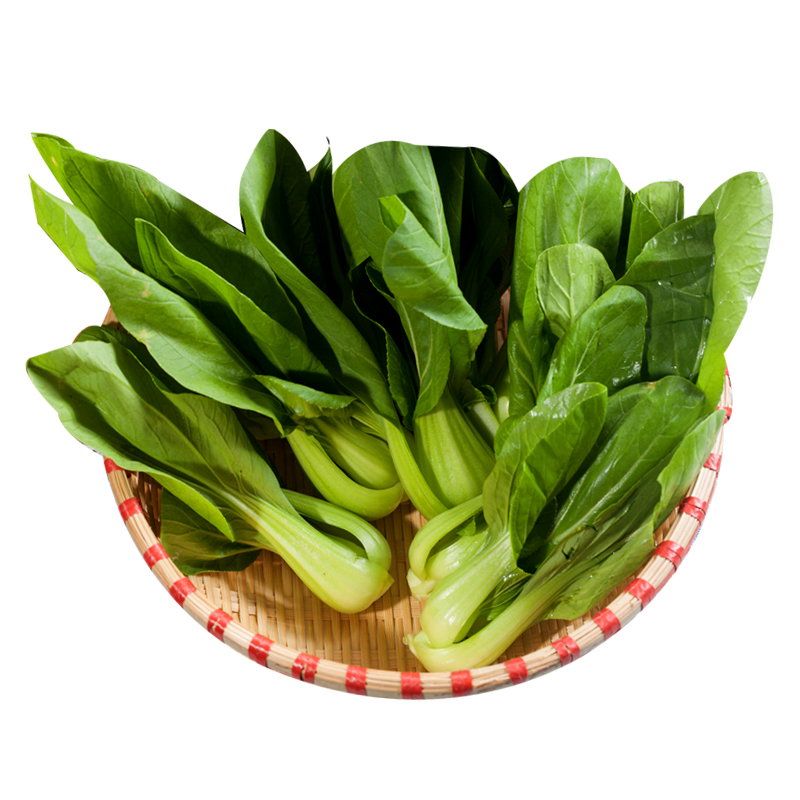 密园小农 油菜密云本地青江菜 新鲜蔬菜 火锅涮菜1000g