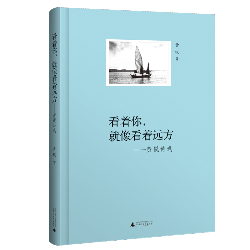 看着你，就像看着远方