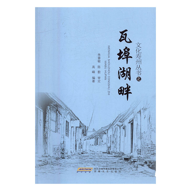 瓦埠湖畔 文学 书籍