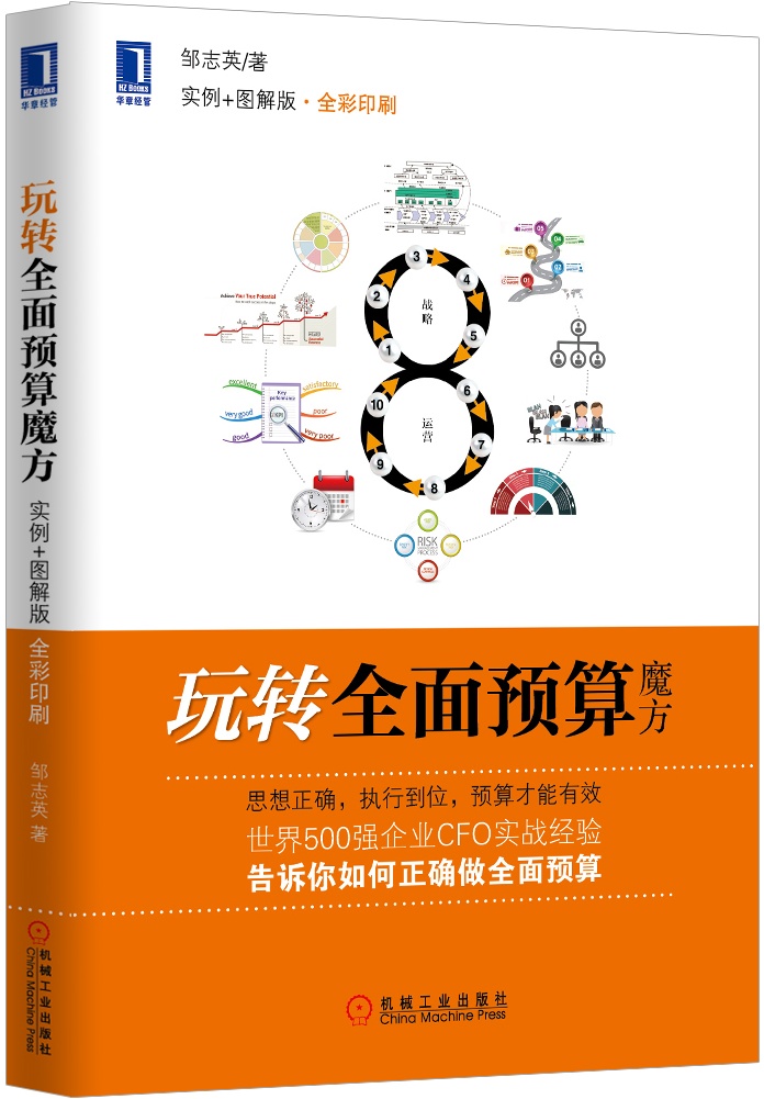玩转全面预算魔方（实例+图解版·全彩印刷）