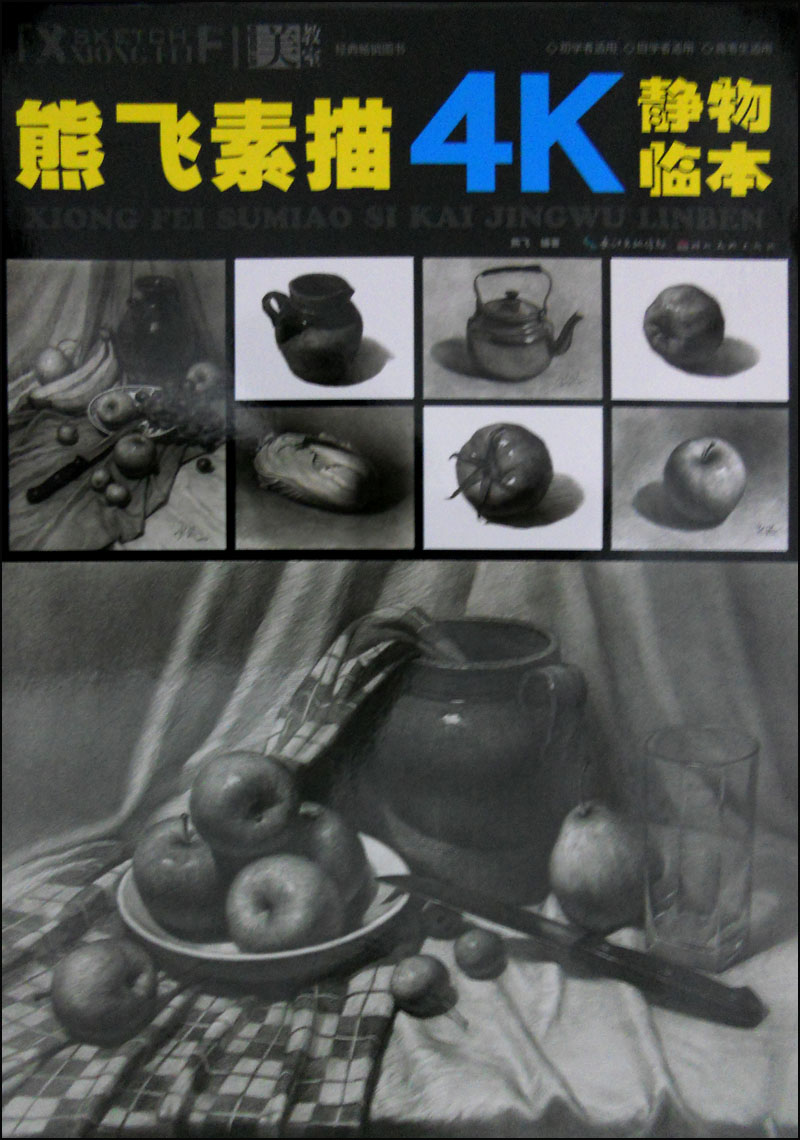 熊飞素描4k静物临本