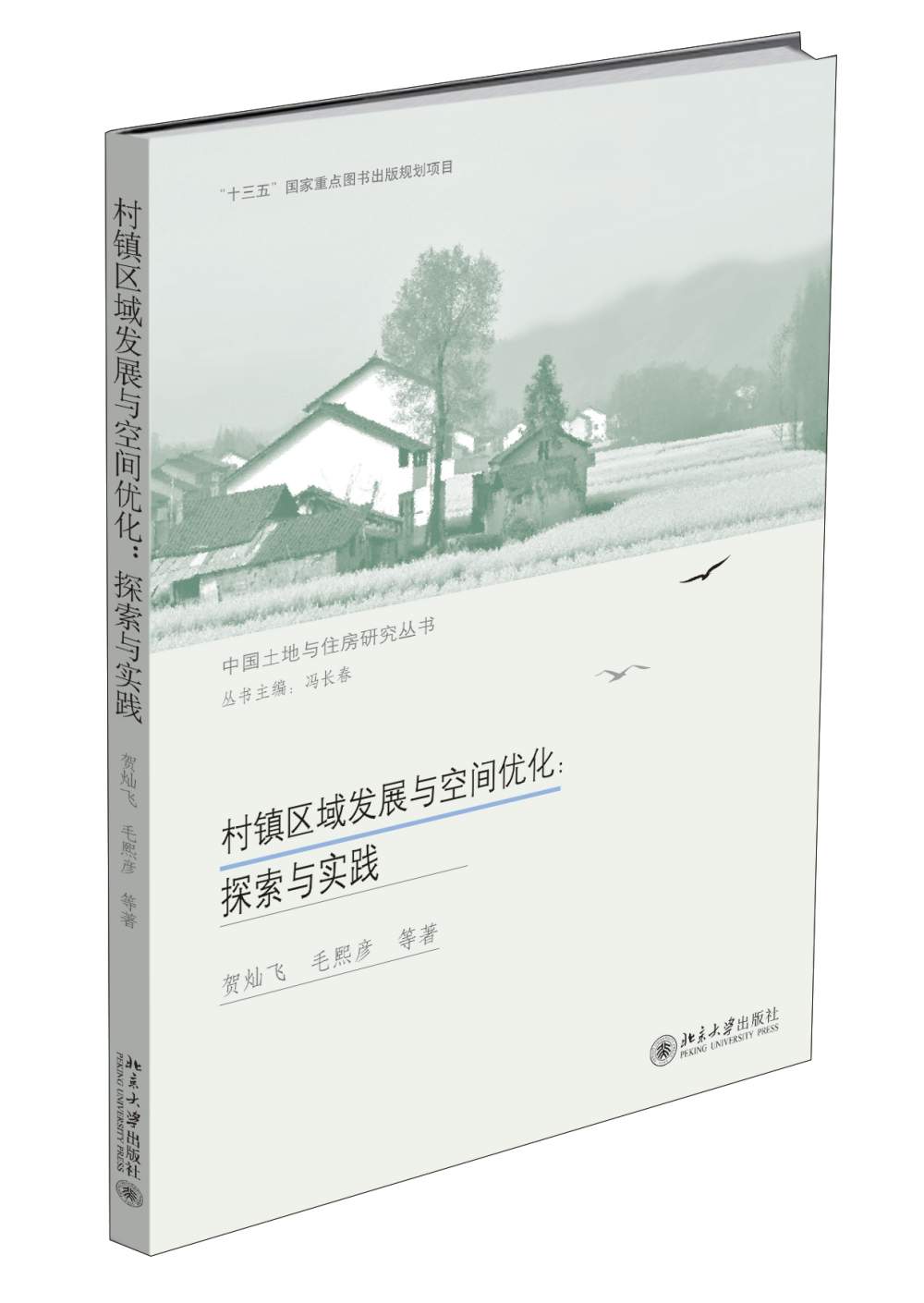 村镇区域发展与空间优化：探索与实践