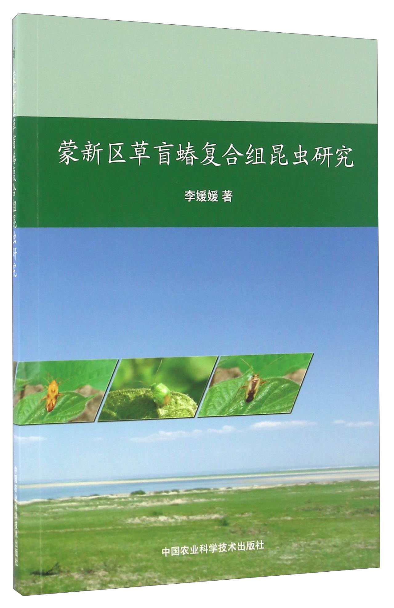 蒙新区草盲蝽复合组昆虫研究