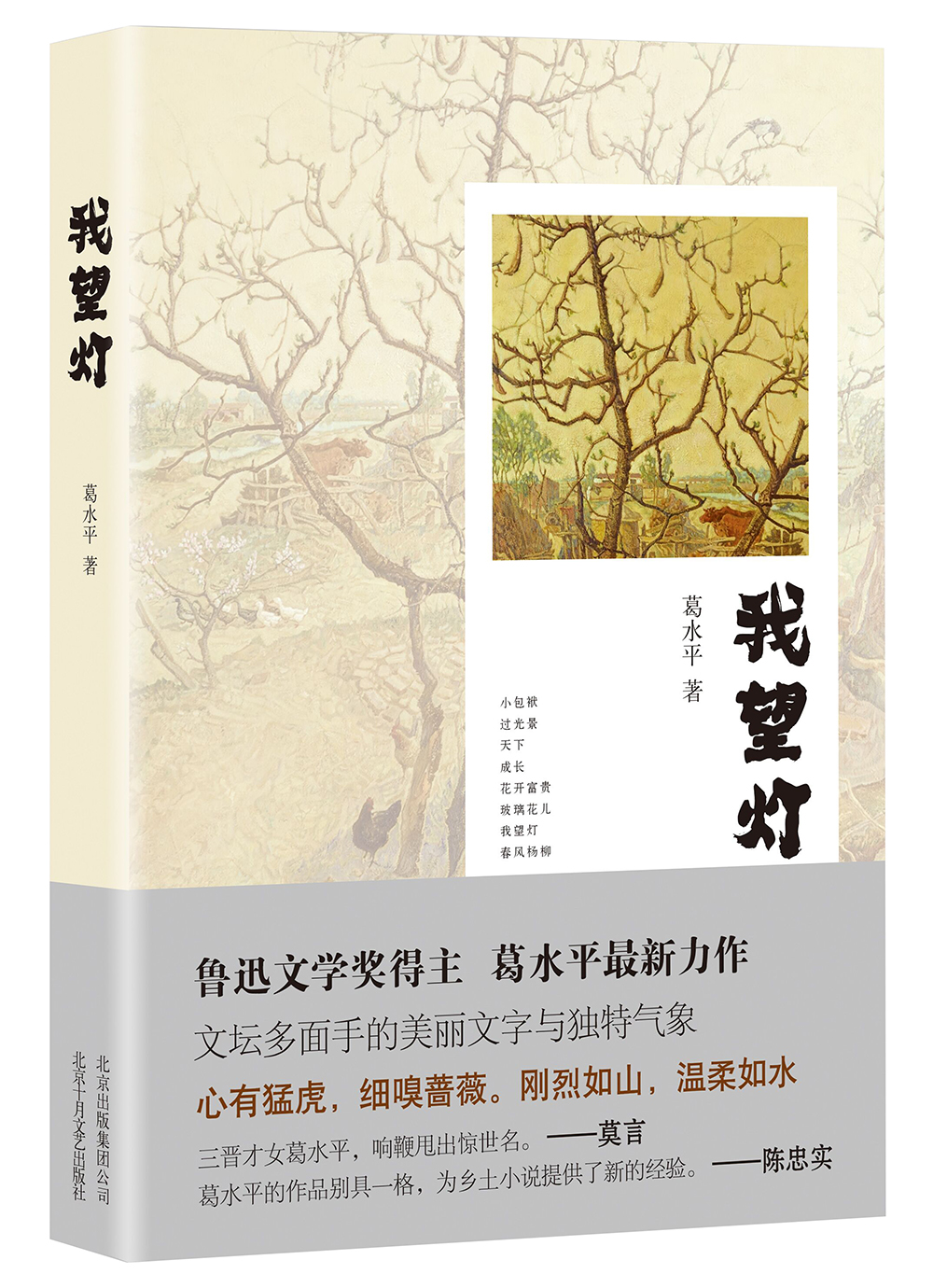 我望灯