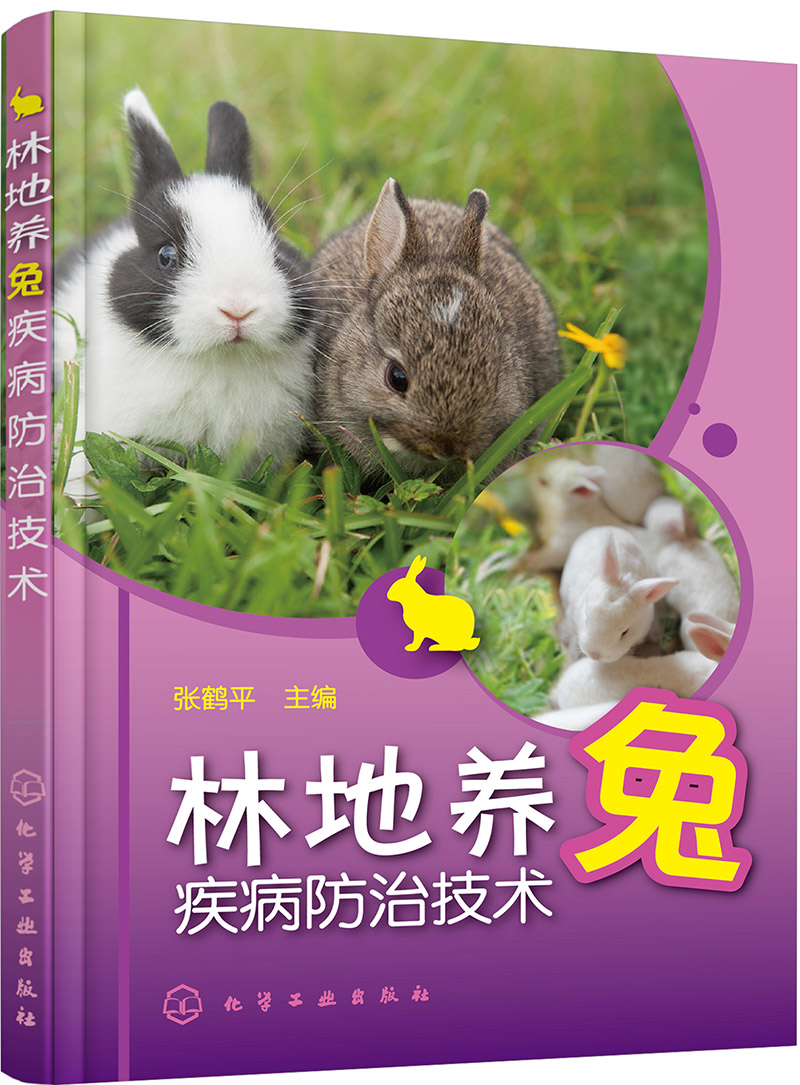 林地养兔疾病防治技术
