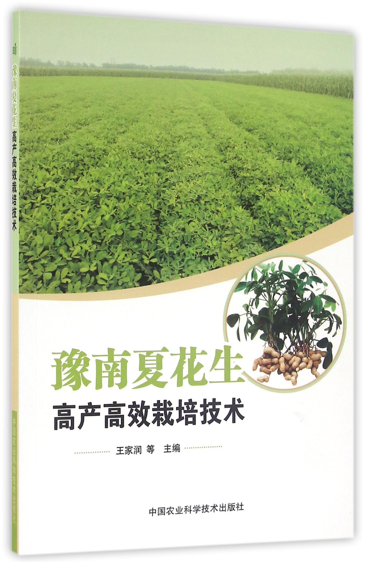 豫南夏花生高产高效栽培技术