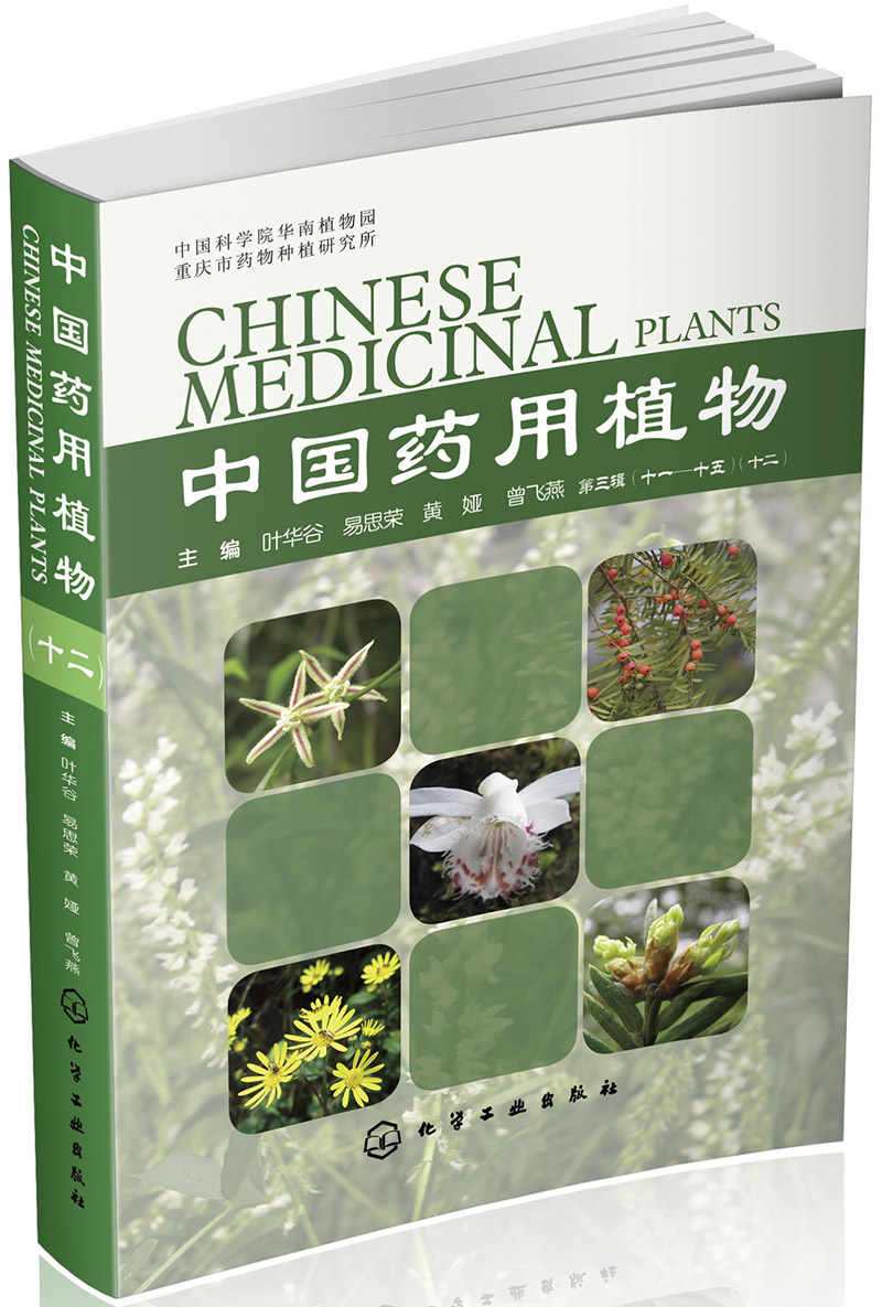 中国药用植物（十二）