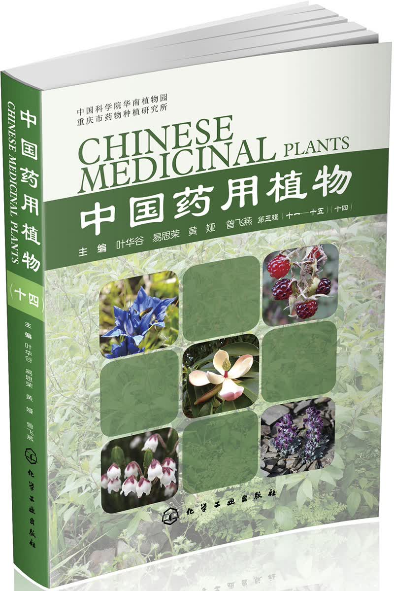 中国药用植物（十四）