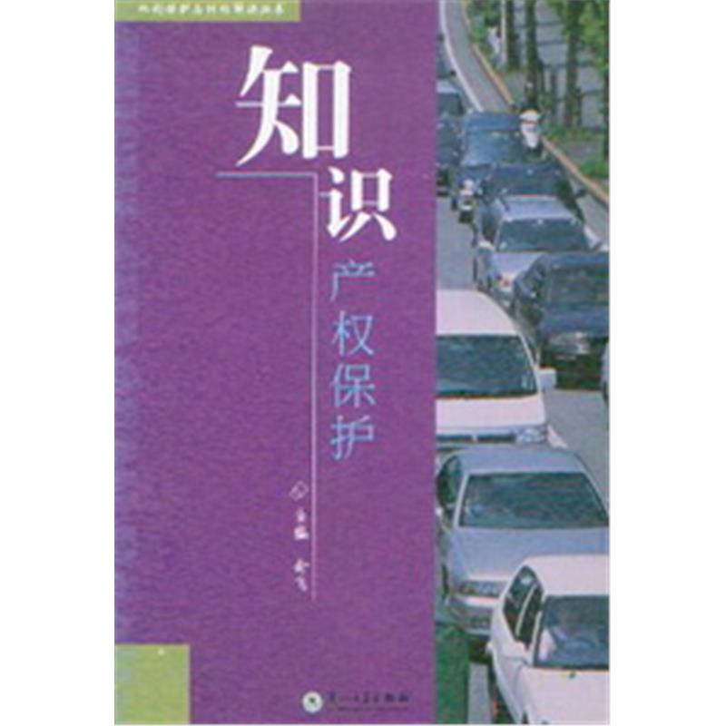 权利保护与纠纷解决丛书/知识产权保护