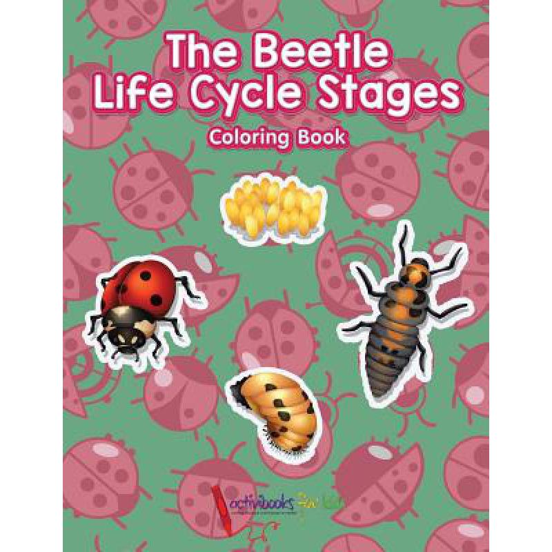 预订 the beetle life cycle stages coloring book