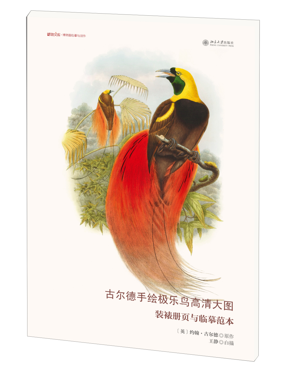 古尔德手绘极乐鸟高清大图：装裱册页与临摹范本/博物文库·博物画临摹与创作