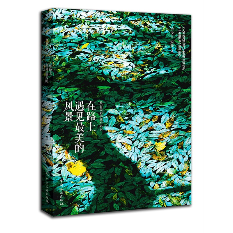在路上遇见*美的风景(旅行摄影实战密码书)
