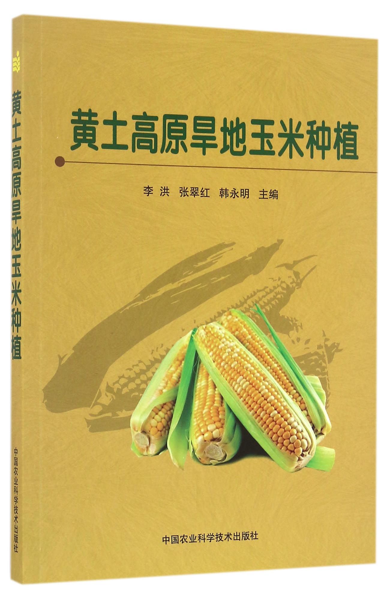 黄土高原旱地玉米种植