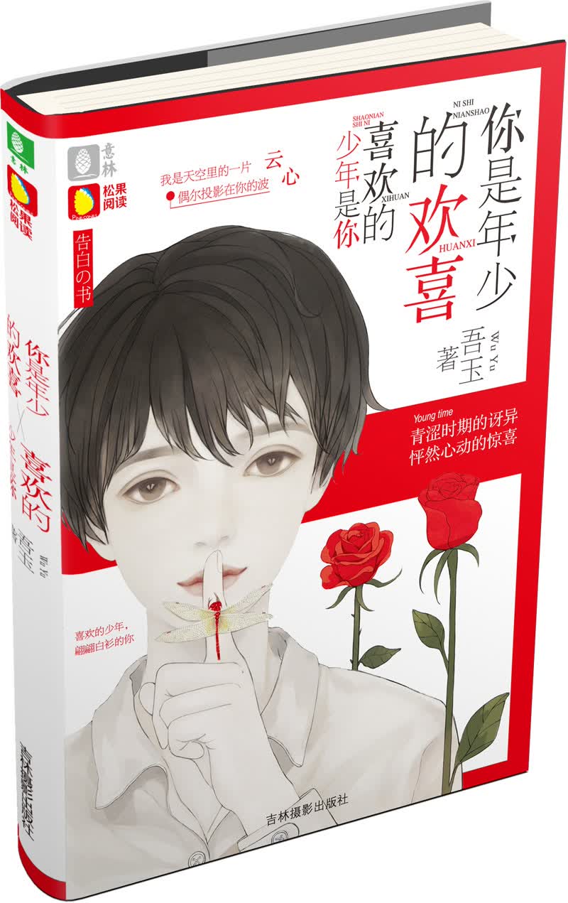你是年少的欢喜，喜欢的少年是你