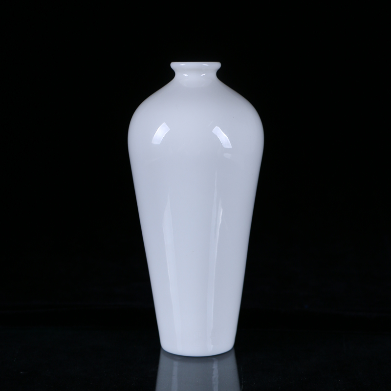 中国龙瓷 德化白瓷花瓶摆件创意陶瓷办公客厅家居装饰品陶瓷收藏品 中国白 17CM梅瓶插花 上釉