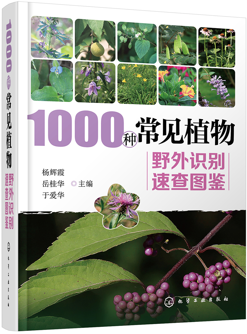 1000种常见植物野外识别速查图鉴（精装、全彩图解、铜版纸）使用感如何?
