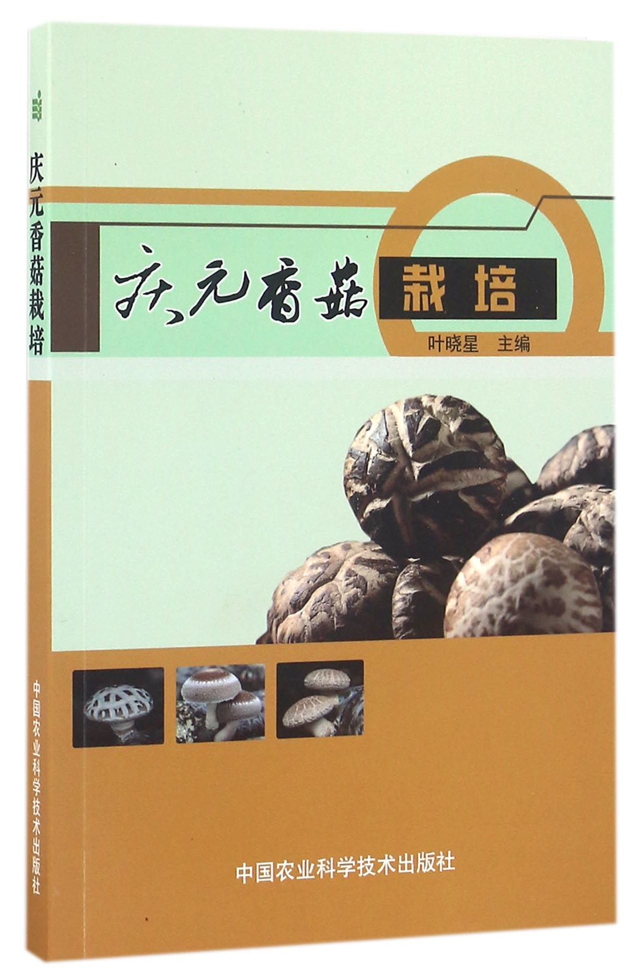 庆元香菇栽培