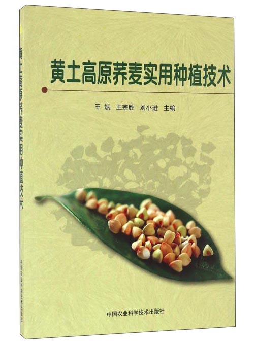 黄土高原荞麦实用种植技术