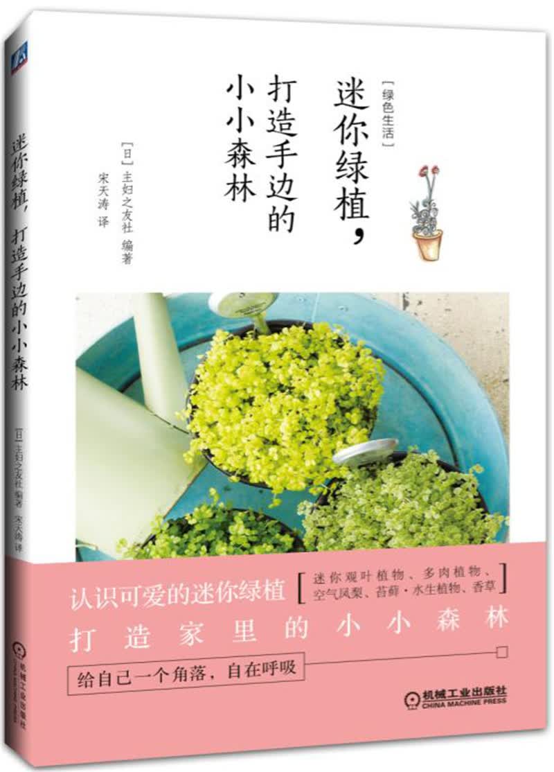 迷你绿植，打造手边的小小森林