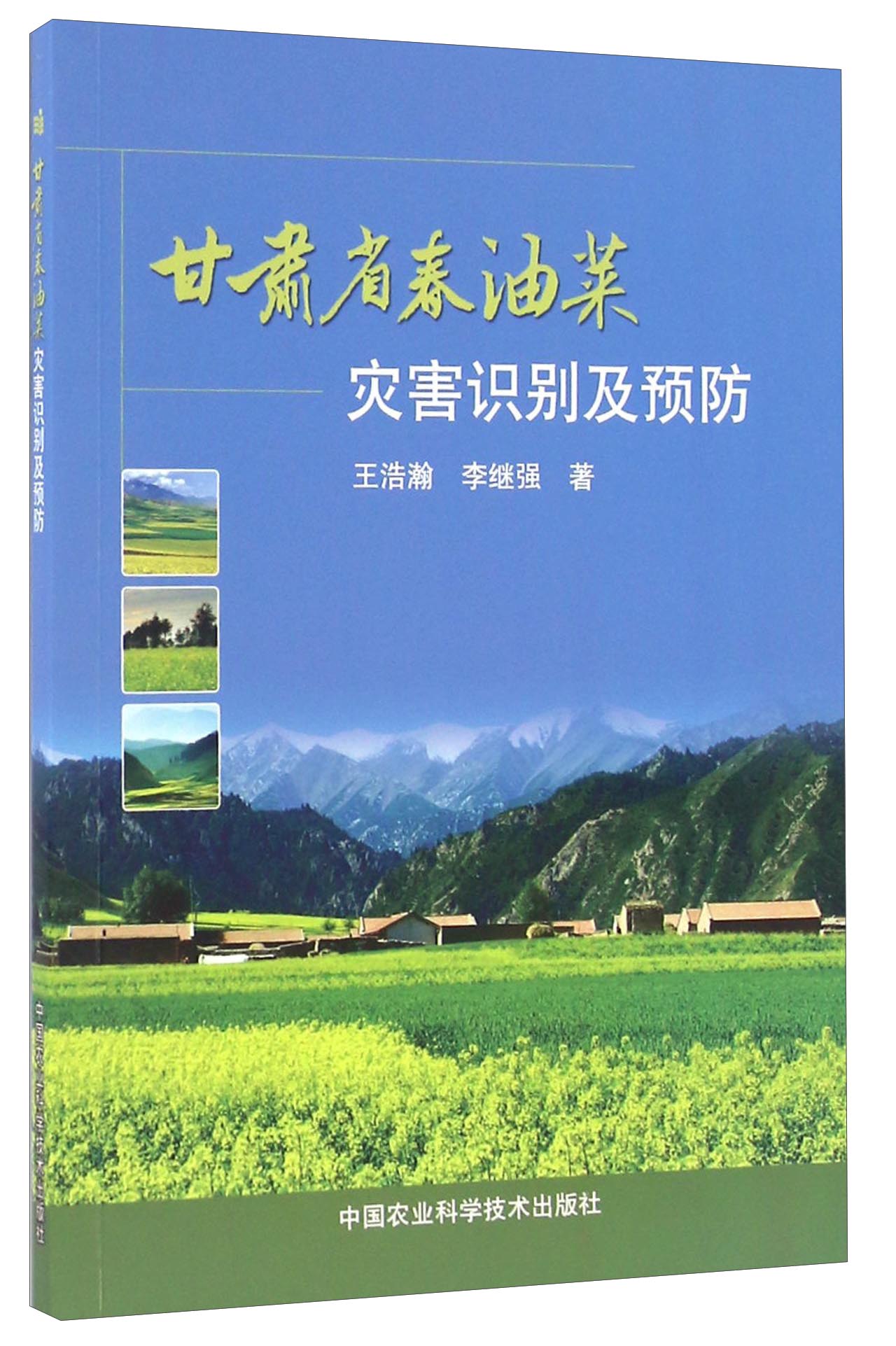 甘肃省春油菜灾害识别及预防
