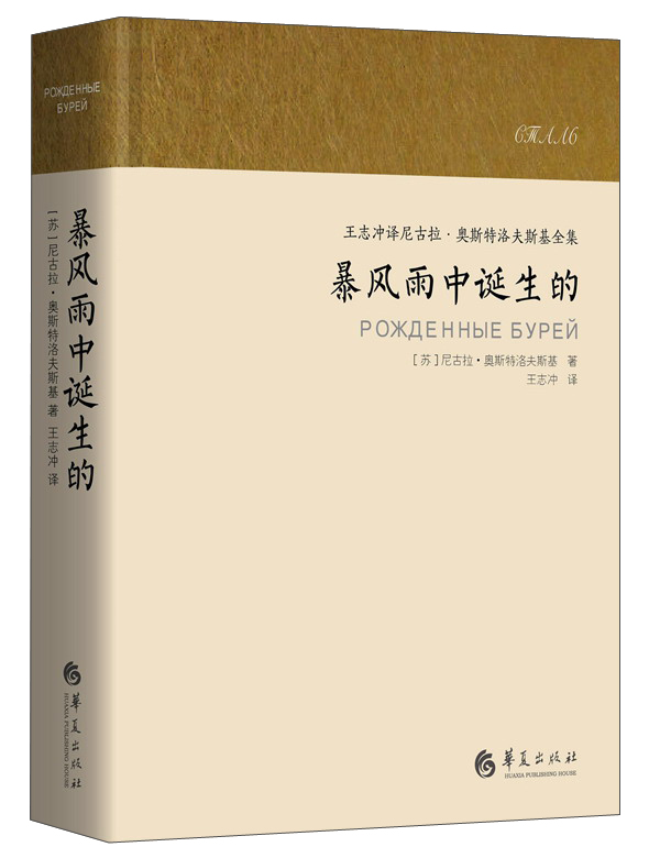 暴风雨中诞生的