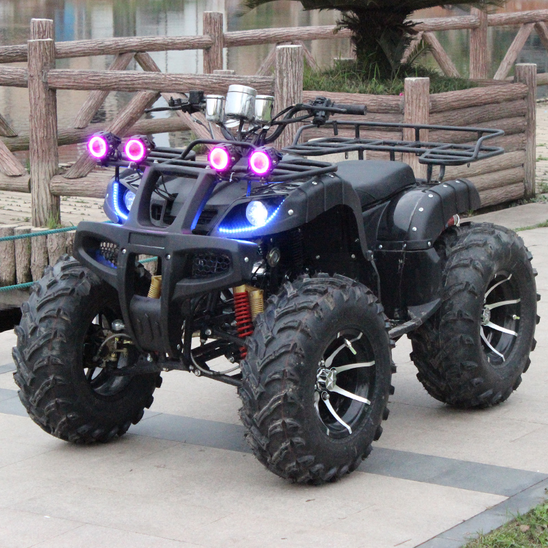 菲尔斯大公牛沙滩车