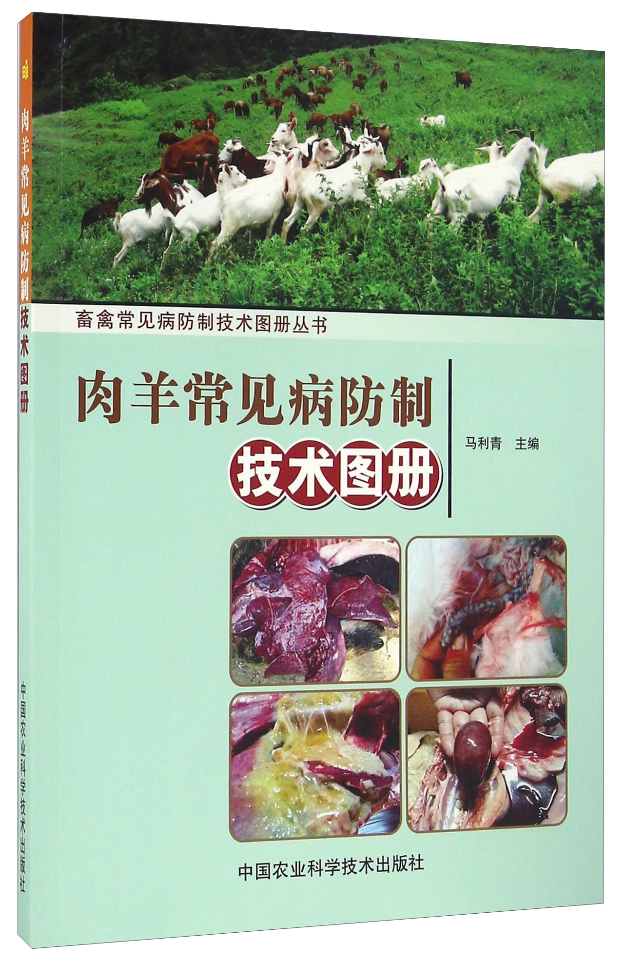 肉羊常见病防制技术图册/畜禽常见病防制技术图册丛书