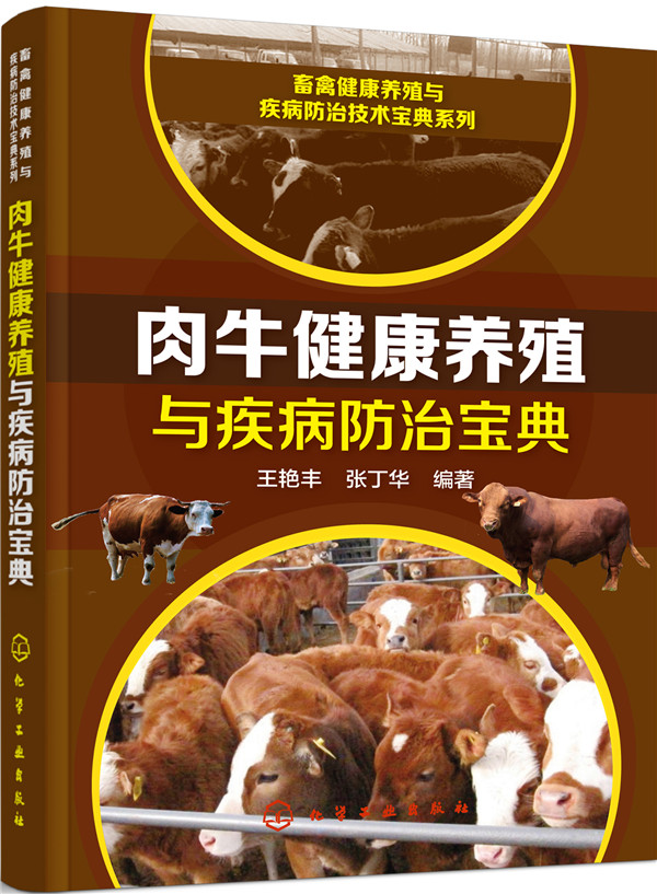 畜禽健康养殖与疾病*技术宝典系列--肉牛健康养殖与疾病*宝典/农业/林业 / 畜牧、狩猎、蚕、蜂