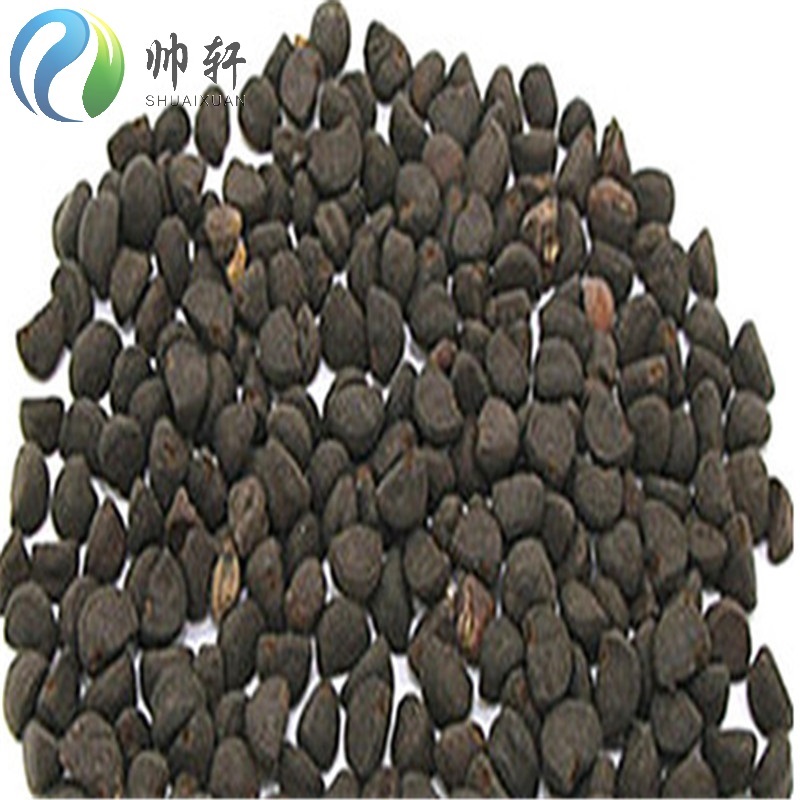 中药材黑丑种子花卉种子牵牛花籽庭院种植药材种子 10粒价格