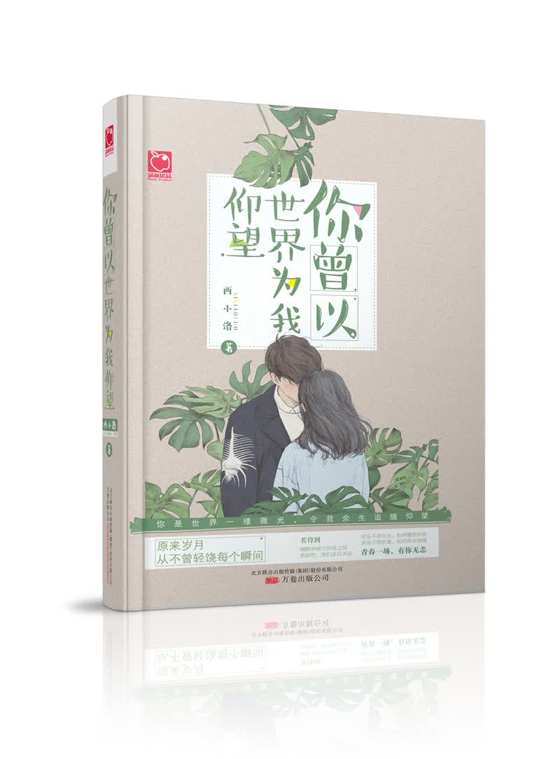 你曾以世界为我仰望