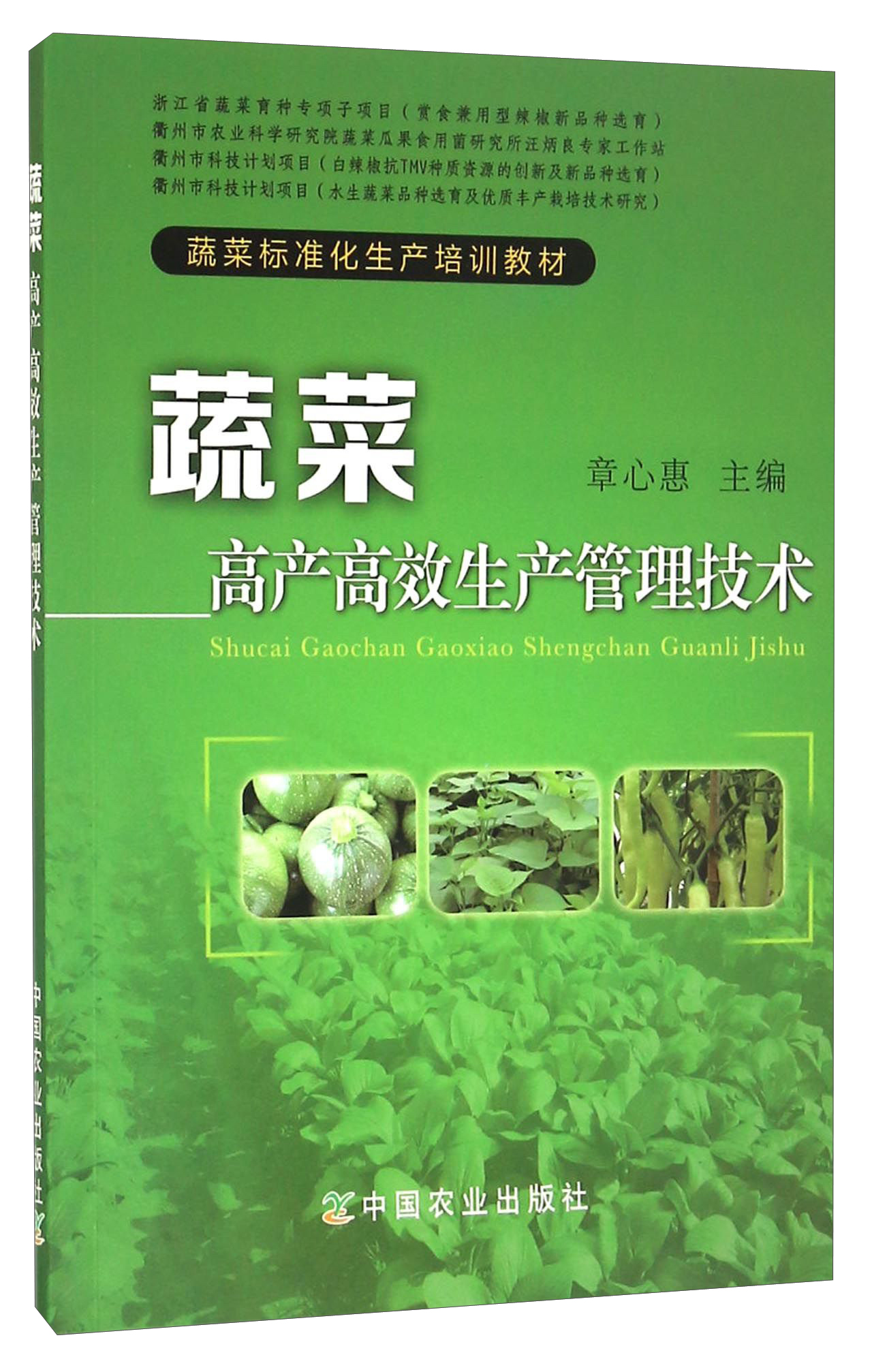 蔬菜高产高效生产管理技术