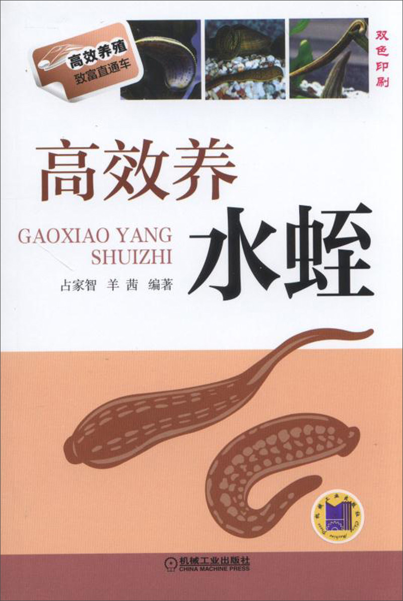 高效养水蛭