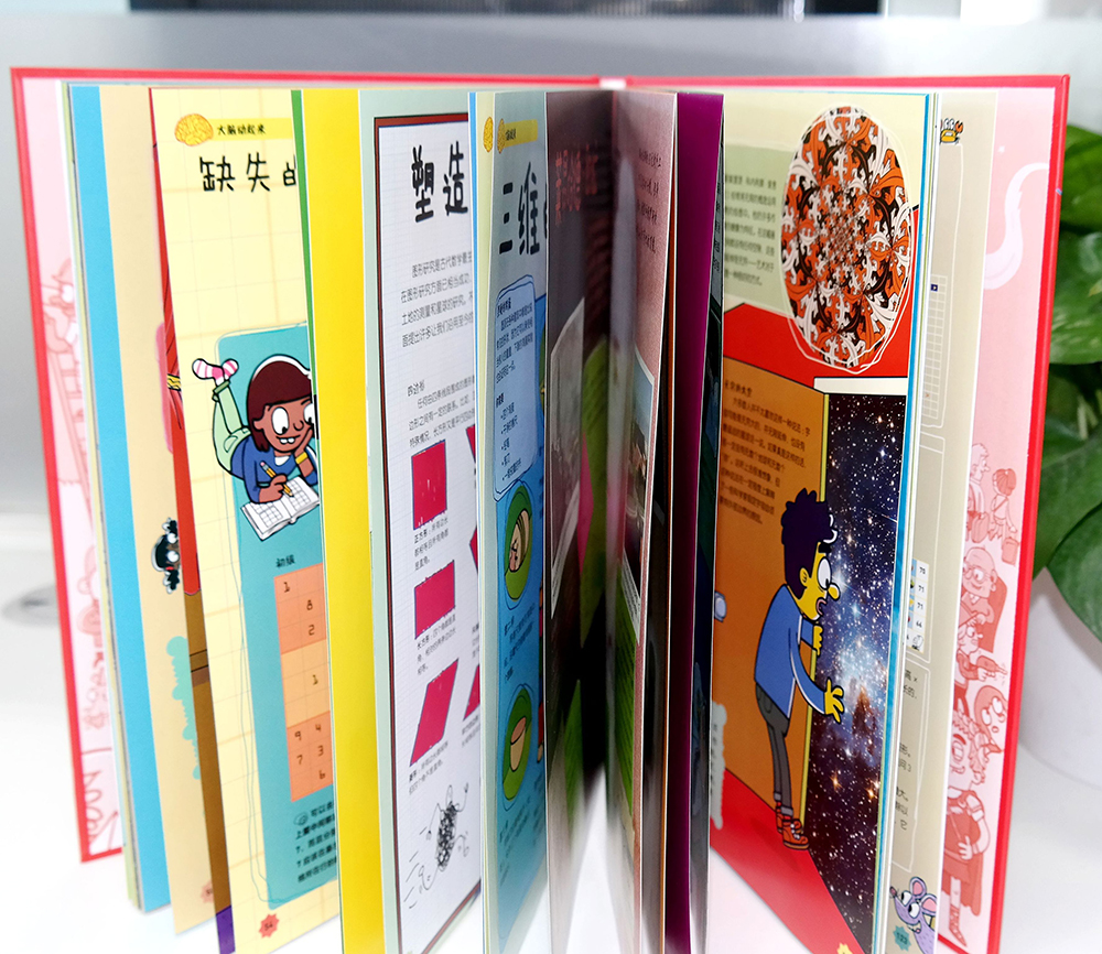 DK儿童数学思维手册暑假阅读暑假课外书课外暑假自主阅读暑期假期读物详情图