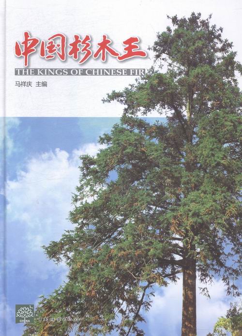 中国杉木王 书籍 农业 林业 林业