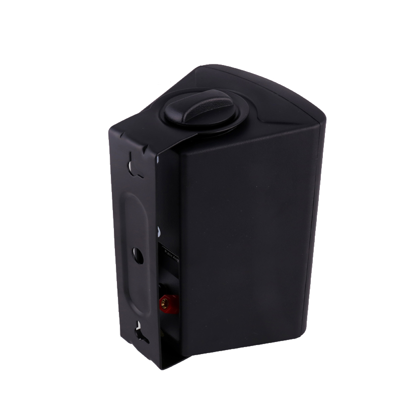 BAS 40W壁挂喇叭 会议音箱 餐厅音响  背景音乐 公共广播 吸顶喇叭 吊顶音箱 消防设备  LWB-116B 黑色  250*155*170mm