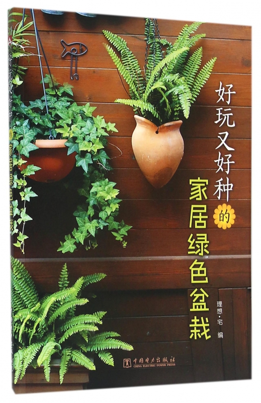 好玩又好种的家居绿色盆栽