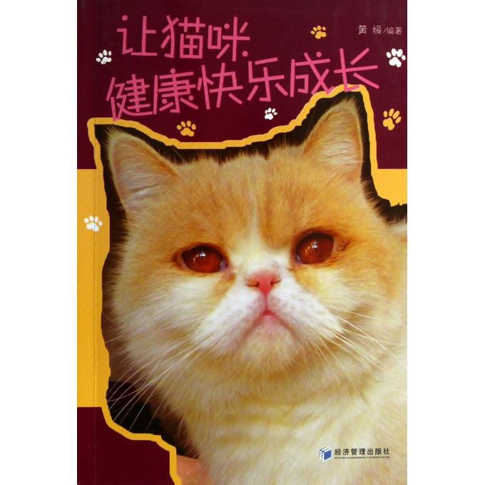 让猫咪健康快乐成长