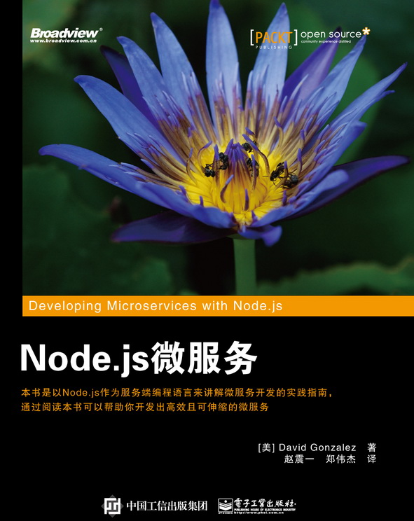Node.js微服务(博文视点出品)