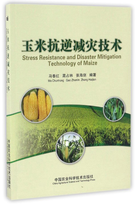玉米抗逆减灾技术