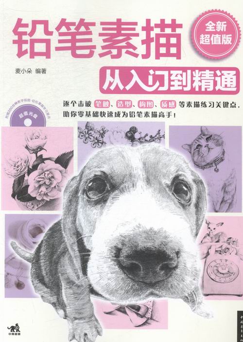 铅笔素描从入门到精通（ 版） 书籍 绘画 彩铅 铅笔画