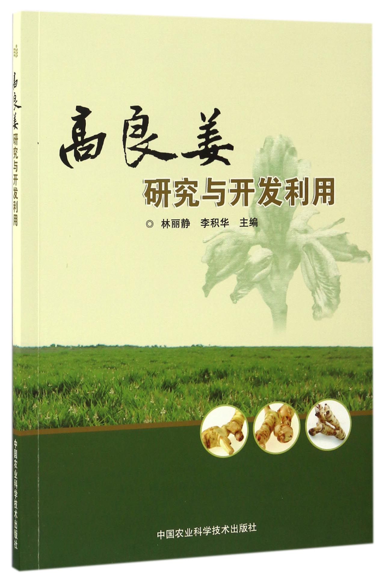 高良姜研究与开发利用