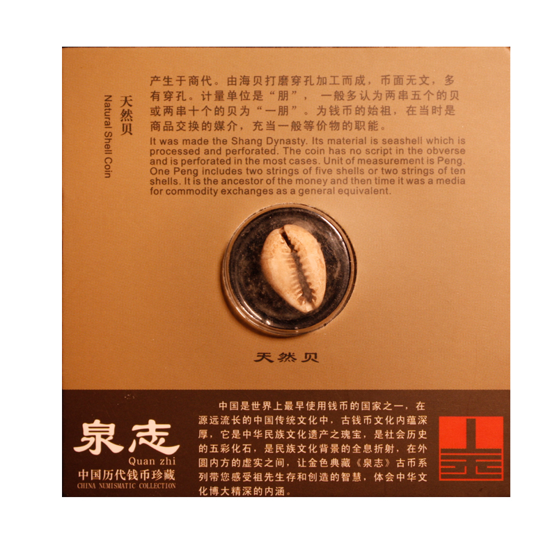 古代钱币泉志系列古币收藏 商代 贝币
