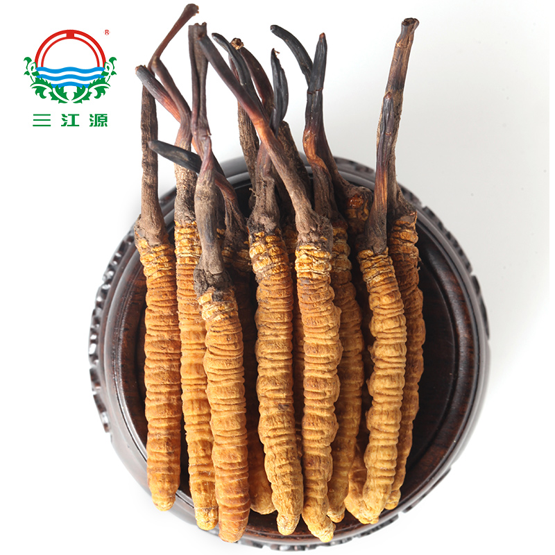 三江源冬虫夏草 青海玉树虫草3根1克 高海拔采挖虫草配礼盒包装 玉树
